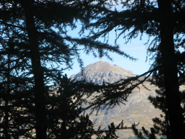 cliquez ici pour voir l'image (IMG_6095_xxxxxxxxx.jpg)
