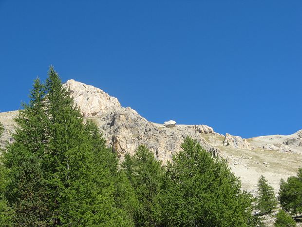 cliquez ici pour voir l'image (IMG_6241_xxxxxxxxx.jpg)
