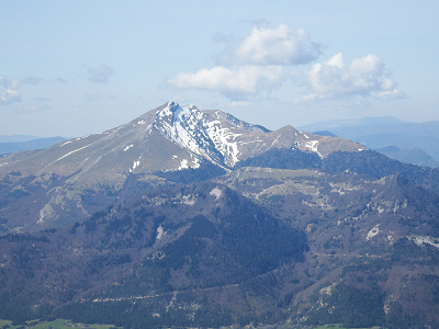 cliquez ici pour voir l'image (DSCF3697.JPG)