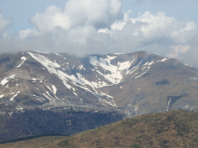cliquez ici pour voir l'image (DSCF3707.JPG)