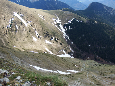 cliquez ici pour voir l'image (DSCF3737.JPG)