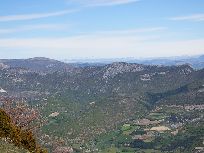 cliquez ici pour voir l'image (DSCF3764.JPG)
