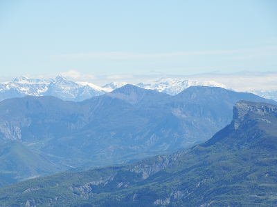 cliquez ici pour voir l'image (DSCF3776.JPG)