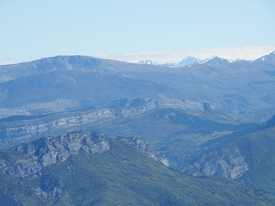 cliquez ici pour voir l'image (DSCF3778.JPG)