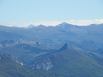 cliquez ici pour voir l'image (DSCF3779.JPG)
