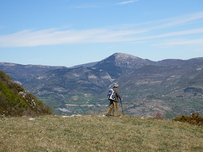 cliquez ici pour voir l'image (DSCF3820.JPG)