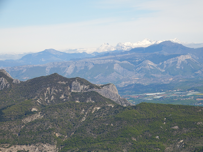 cliquez ici pour voir l'image (DSCF3824.JPG)