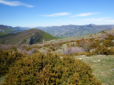 cliquez ici pour voir l'image (DSCF3827.JPG)