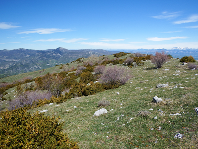 cliquez ici pour voir l'image (DSCF3828.JPG)