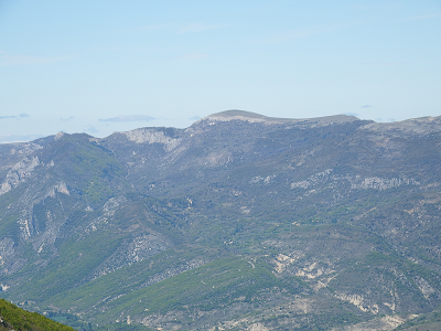 cliquez ici pour voir l'image (DSCF3872.JPG)