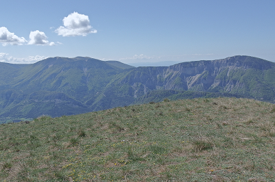 cliquez ici pour voir l'image (DSCF4015.JPG)