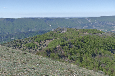 cliquez ici pour voir l'image (DSCF4017.JPG)