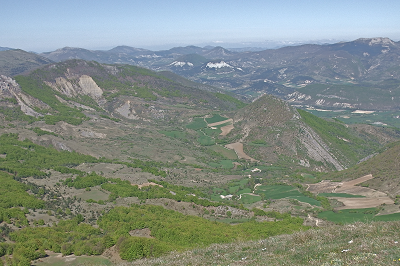 cliquez ici pour voir l'image (DSCF4019.JPG)