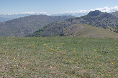cliquez ici pour voir l'image (DSCF4025.JPG)