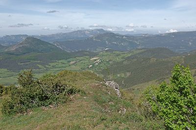 cliquez ici pour voir l'image (DSCF4089.JPG)