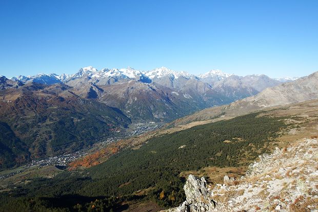 cliquez ici pour voir l'image (DSCF5398.JPG)