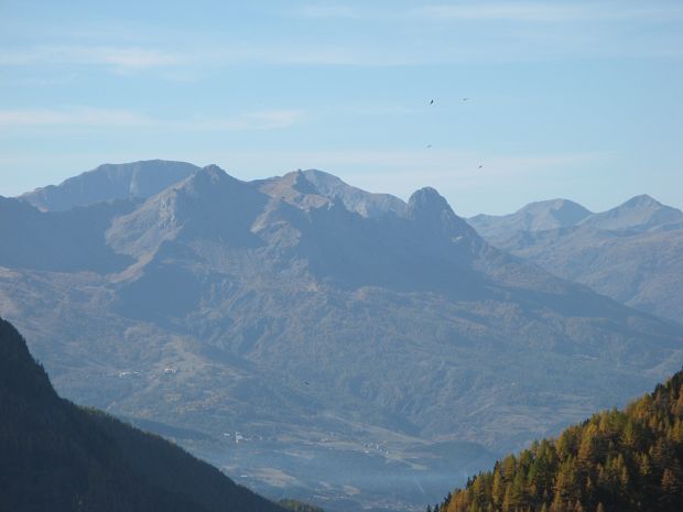 cliquez ici pour voir l'image (IMG_2015.JPG)