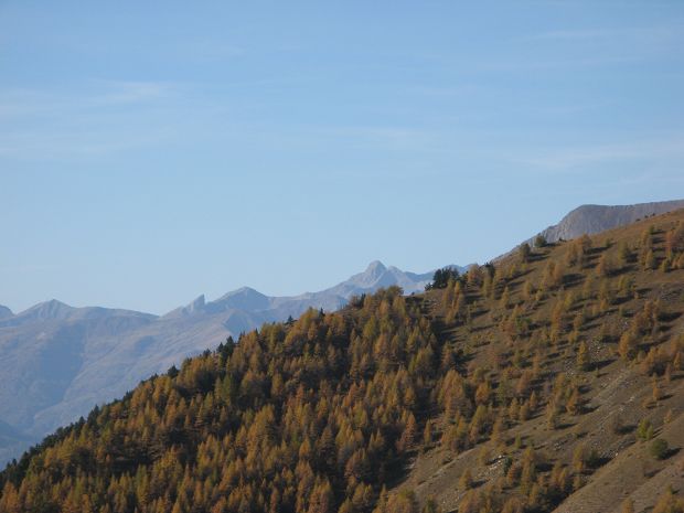 cliquez ici pour voir l'image (IMG_2017.JPG)