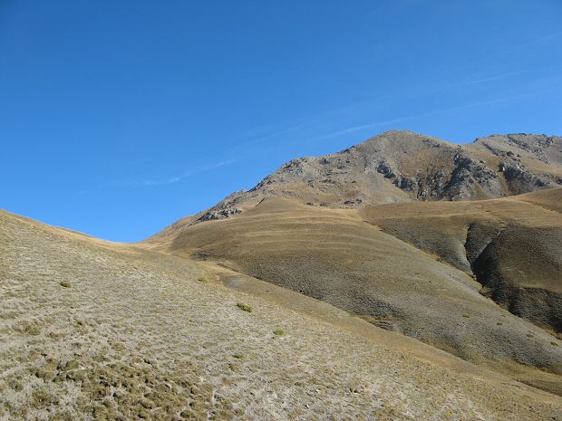 cliquez ici pour voir l'image (IMG_2018.JPG)