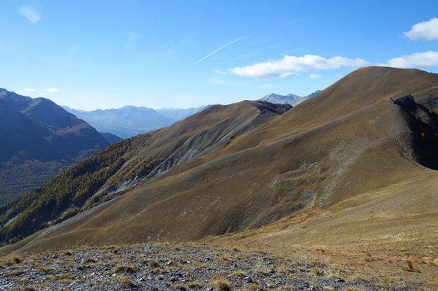 cliquez ici pour voir l'image (DSCF5570.JPG)