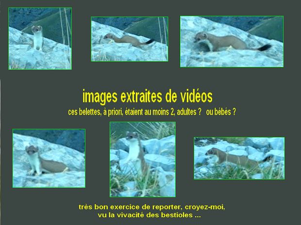 cliquez ici pour voir l'image (IMG_3723_a.JPG)