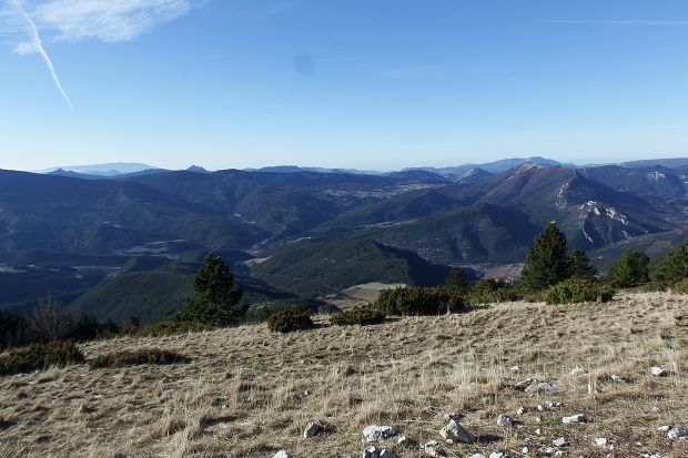 cliquez ici pour voir l'image (DSCF7157.JPG)