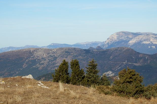 cliquez ici pour voir l'image (DSCF7193.JPG)