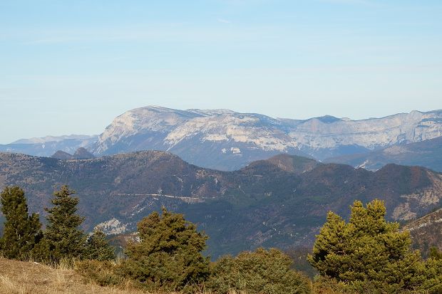 cliquez ici pour voir l'image (DSCF7194.JPG)