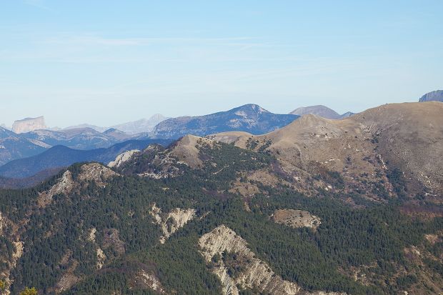 cliquez ici pour voir l'image (DSCF7197.JPG)